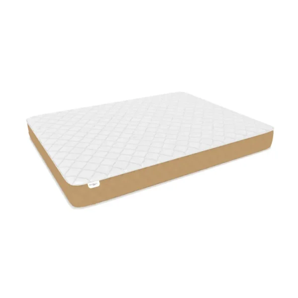 Best Orthopaedic Mattress in India