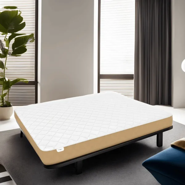 Orthopaedic Mattress in India