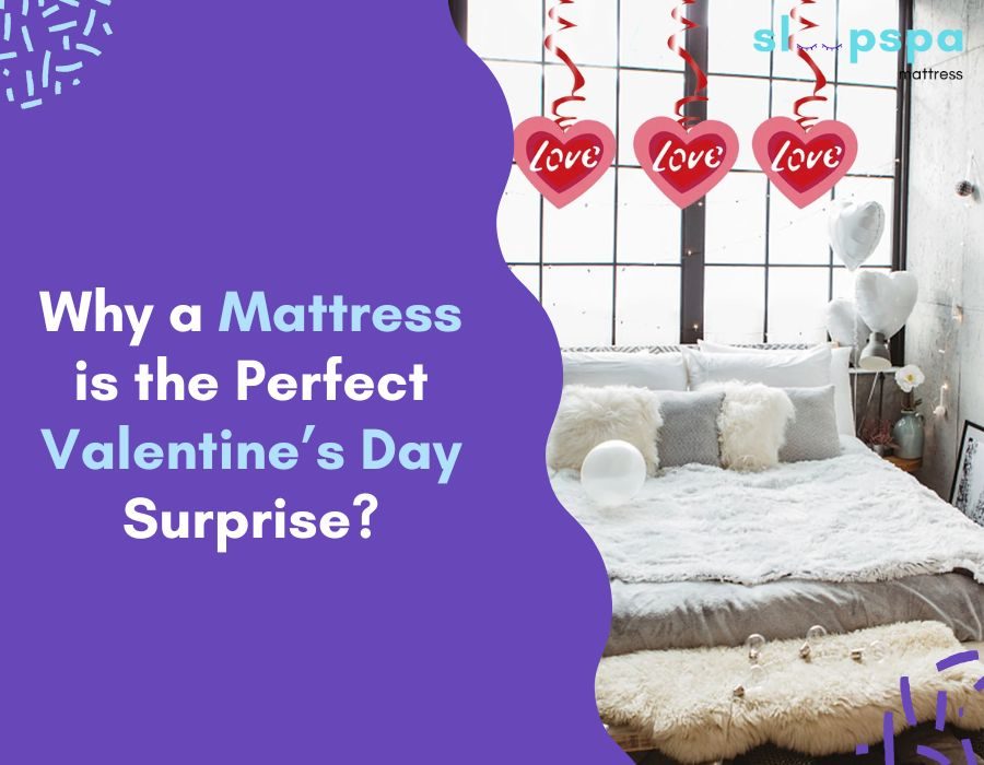 WhatsApp Image 2025-01-31 at 15.57.37 WhatsApp Image 2025-01-31 at 15.57.37